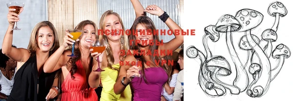 бошки Абдулино