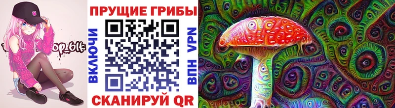 Галлюциногенные грибы мухоморы  купить наркоту  Ефремов 
